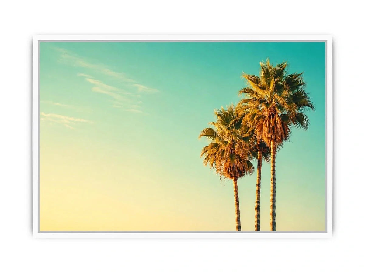 Palm Trees vintage Canvas Print