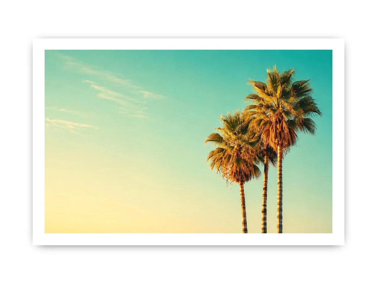 Palm Trees vintage Canvas Print