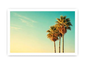 Palm Trees vintage Canvas Print