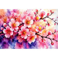 Pink Cherry Blossoms Canvas Print