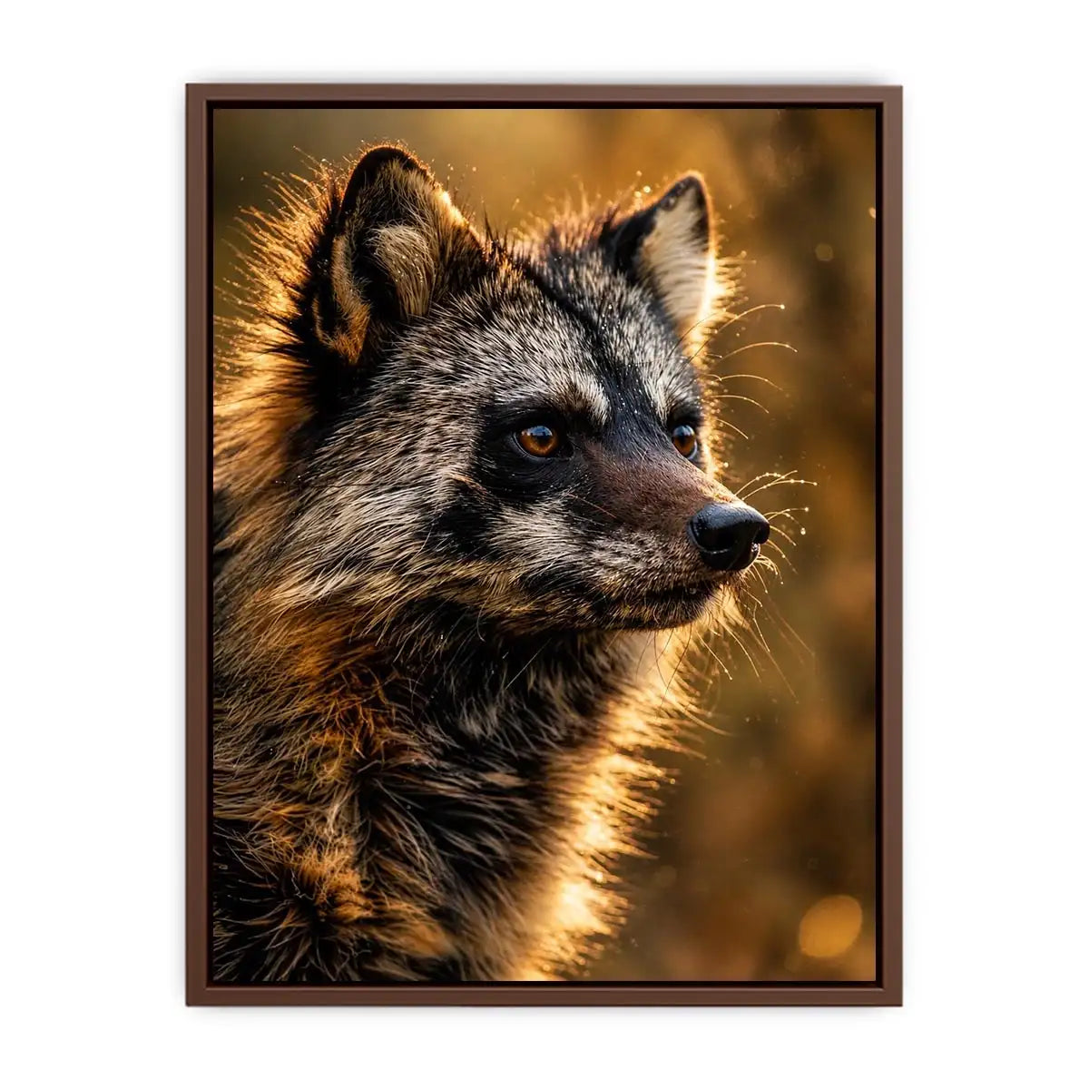 Racoon Dog Canvas Print