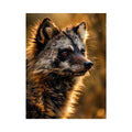 Racoon Dog Canvas Print
