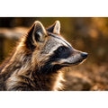 Racoon Dog Canvas Print