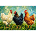 Three Little Hens Canvas Print