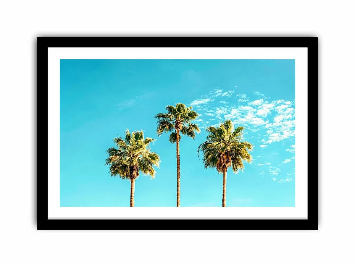 3 Palms Canvas Print