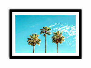 3 Palms Canvas Print