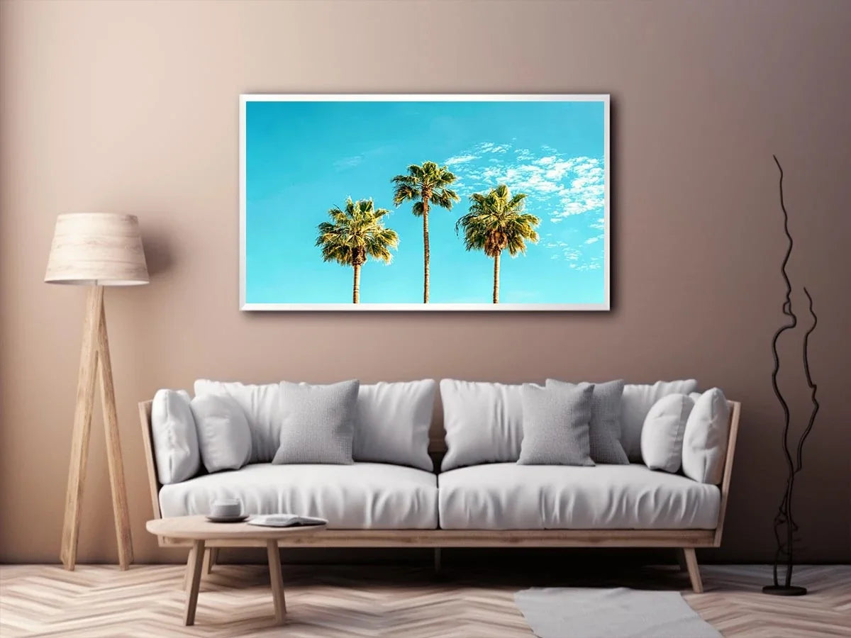 3 Palms Canvas Print