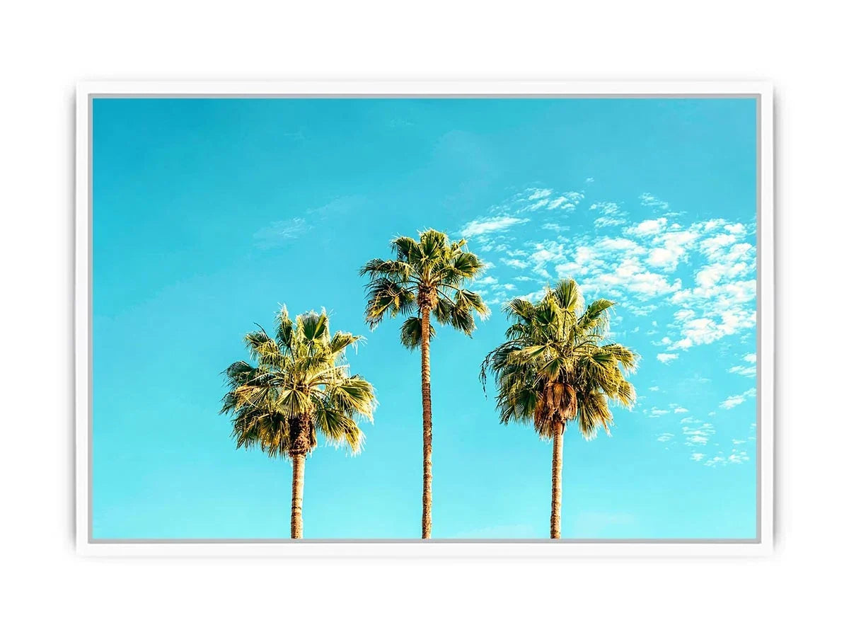 3 Palms Canvas Print