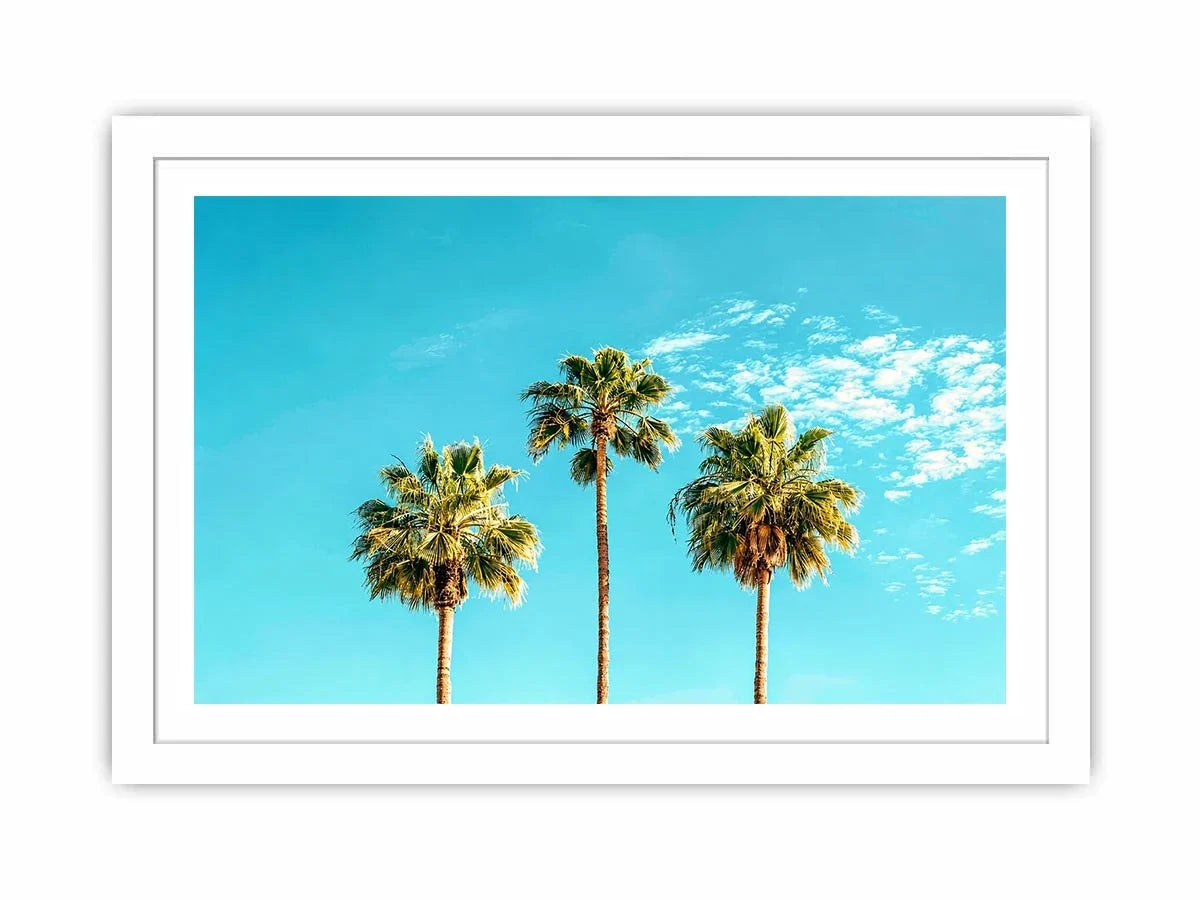 3 Palms Canvas Print