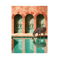 Cool Zebra Canvas Print