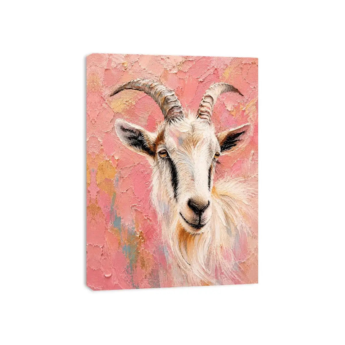 Sheep Canvas Print
