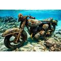 Underwater Byke Canvas Print