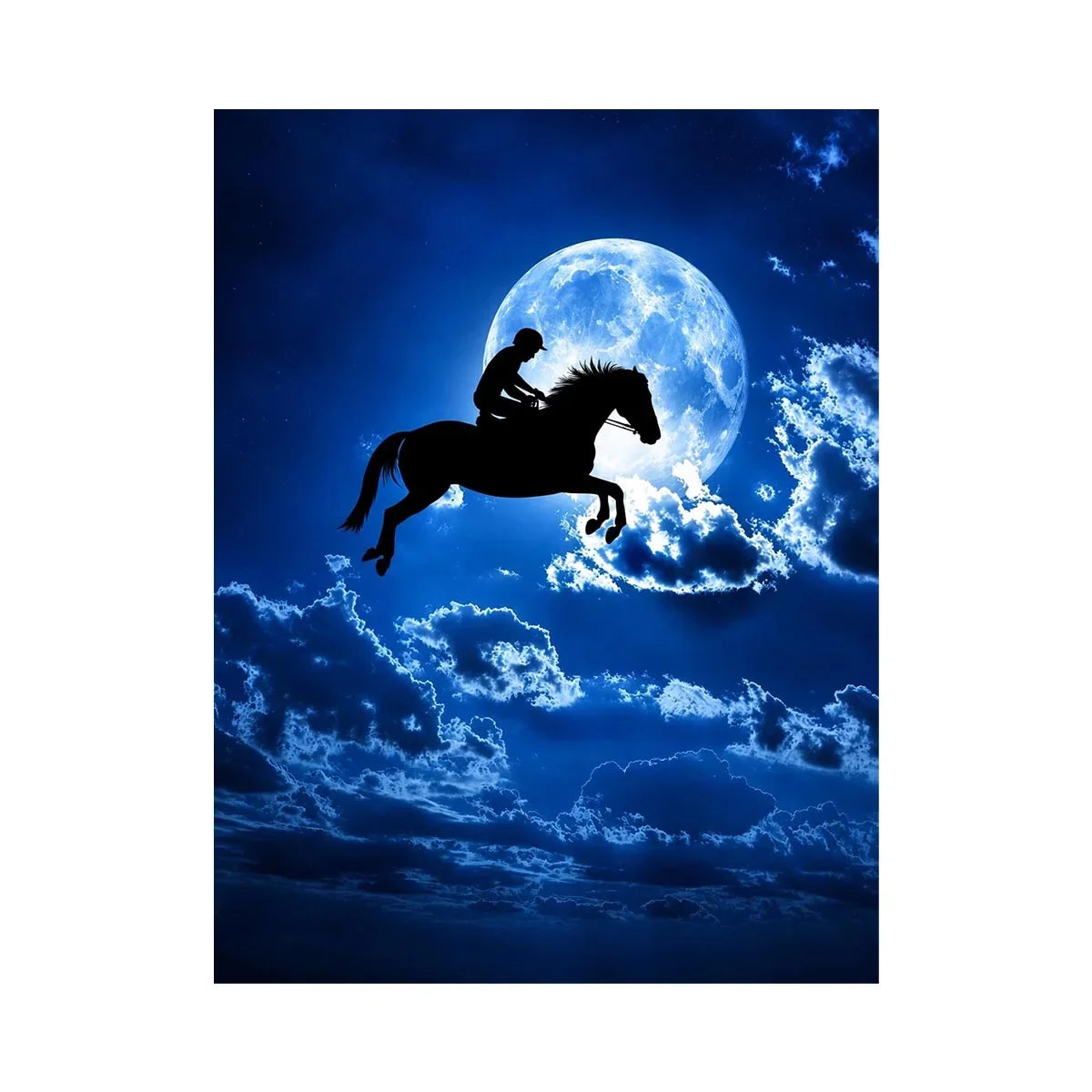 Riding Horse Canvas Print