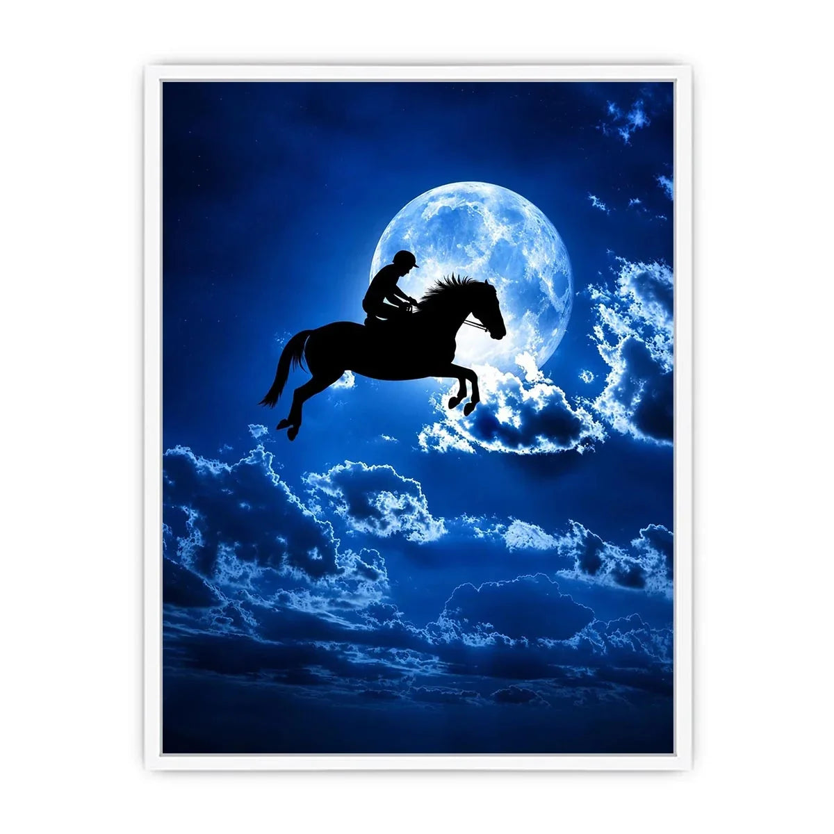 Riding Horse Canvas Print