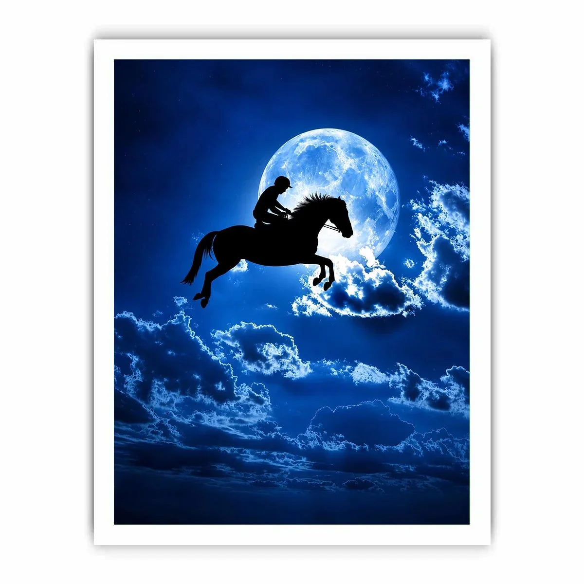 Riding Horse Canvas Print