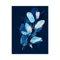 Blue Eucalyptus Canvas Print