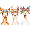Cute Llama Canvas Print