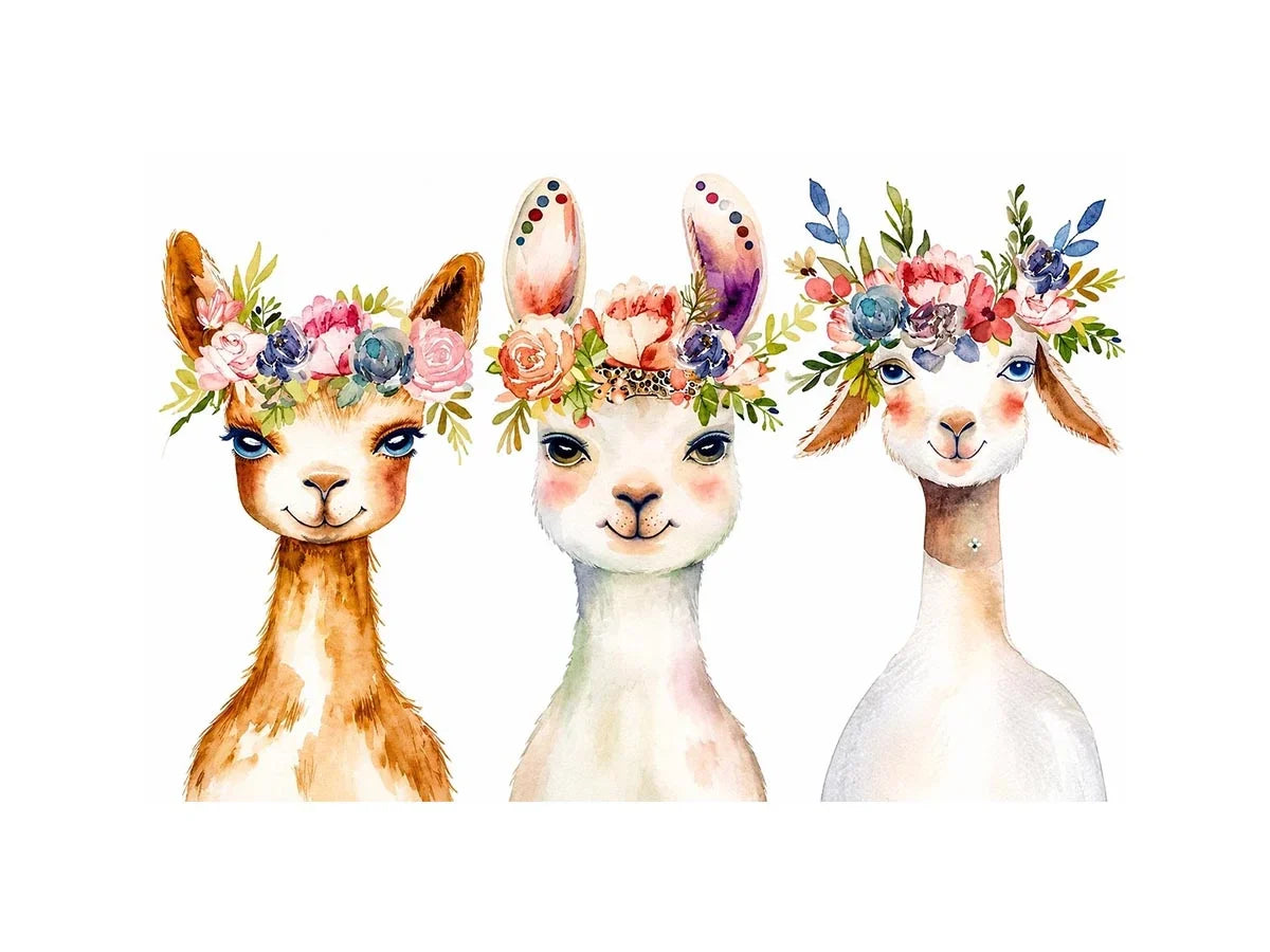 Cute Llama Canvas Print