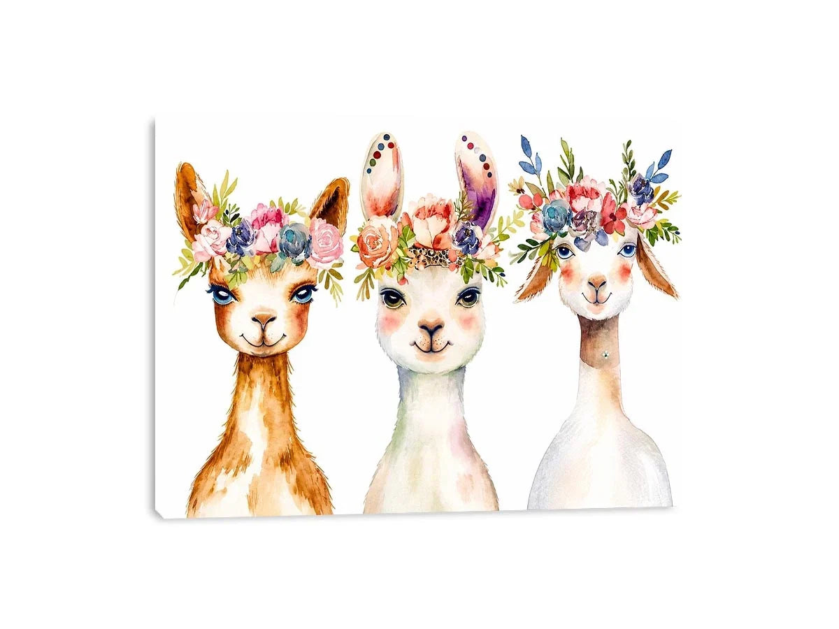 Cute Llama Canvas Print