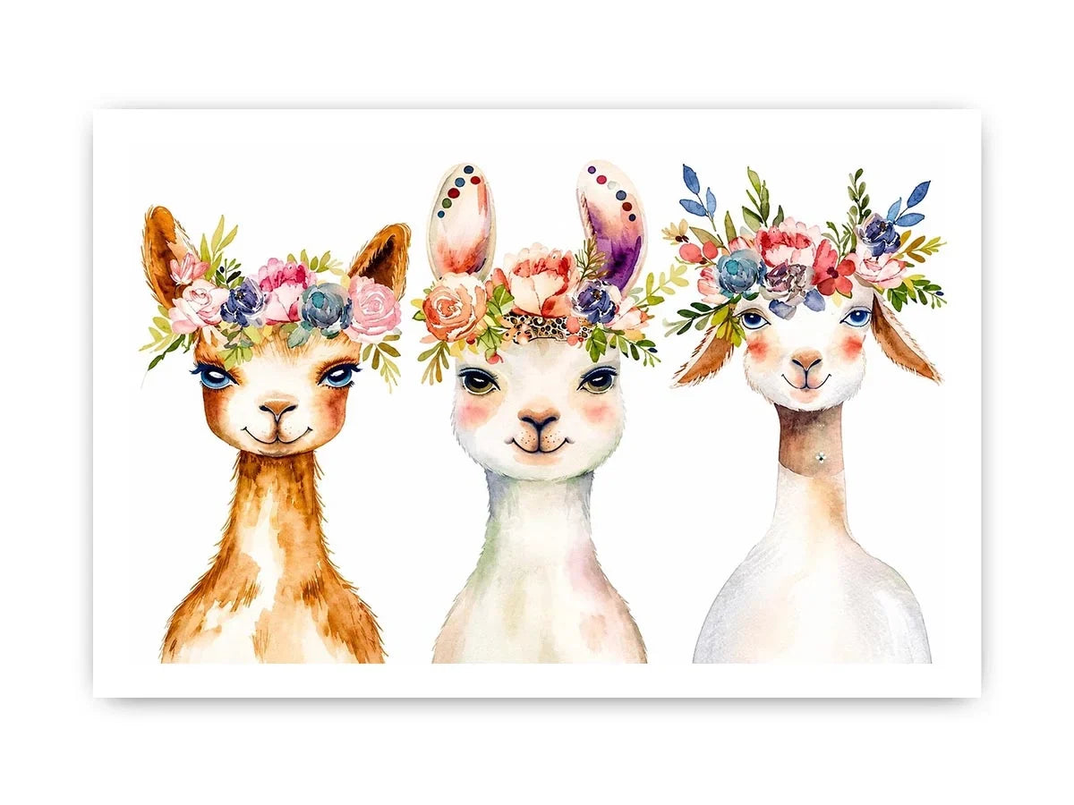 Cute Llama Canvas Print