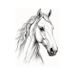 Compassionate Canvas Print