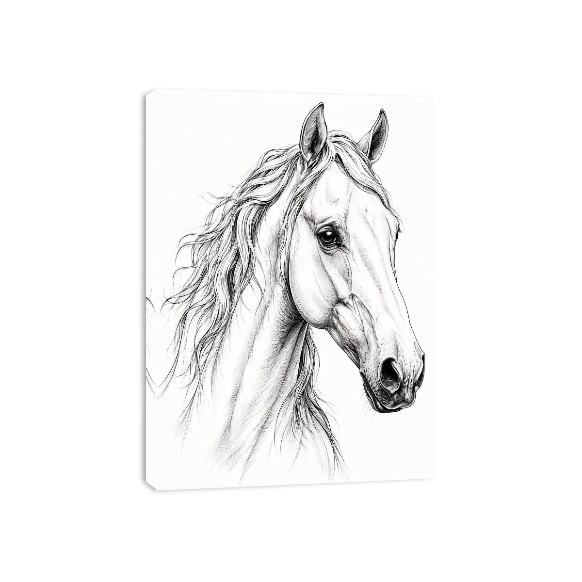 Compassionate Canvas Print