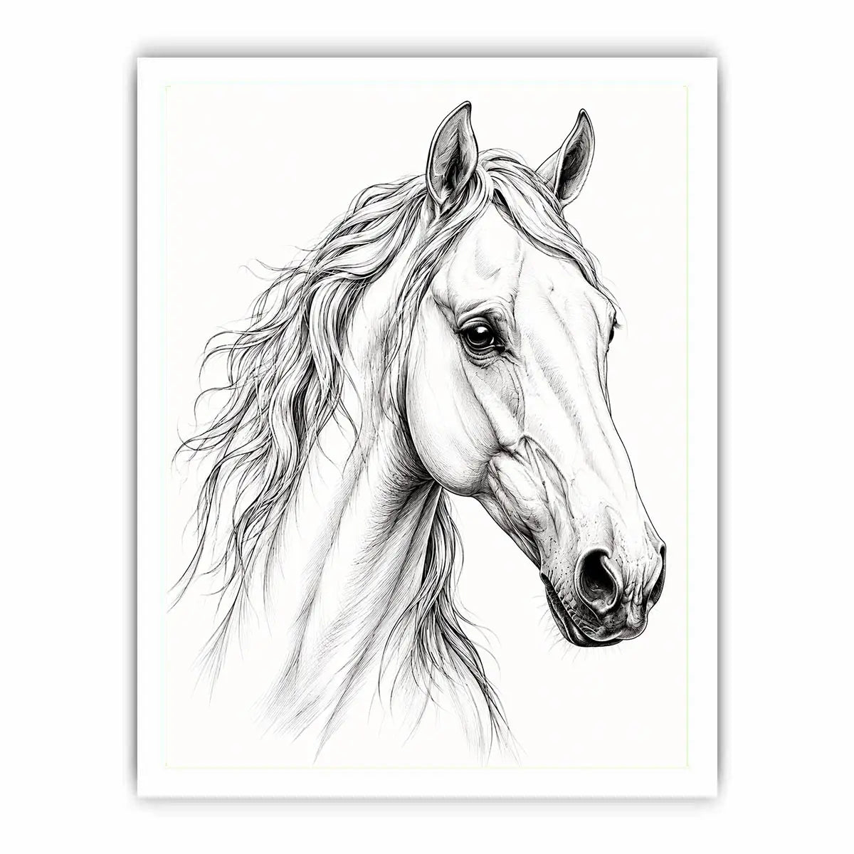 Compassionate Canvas Print
