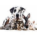Group Photo Canvas Print
