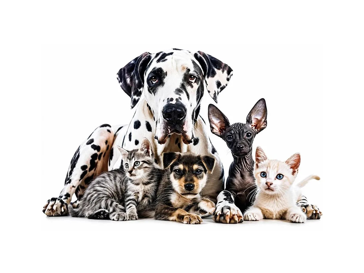 Group Photo Canvas Print