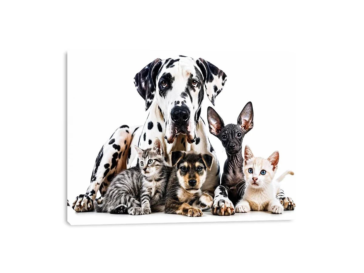 Group Photo Canvas Print