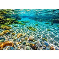 Shallow Ocean Canvas Print