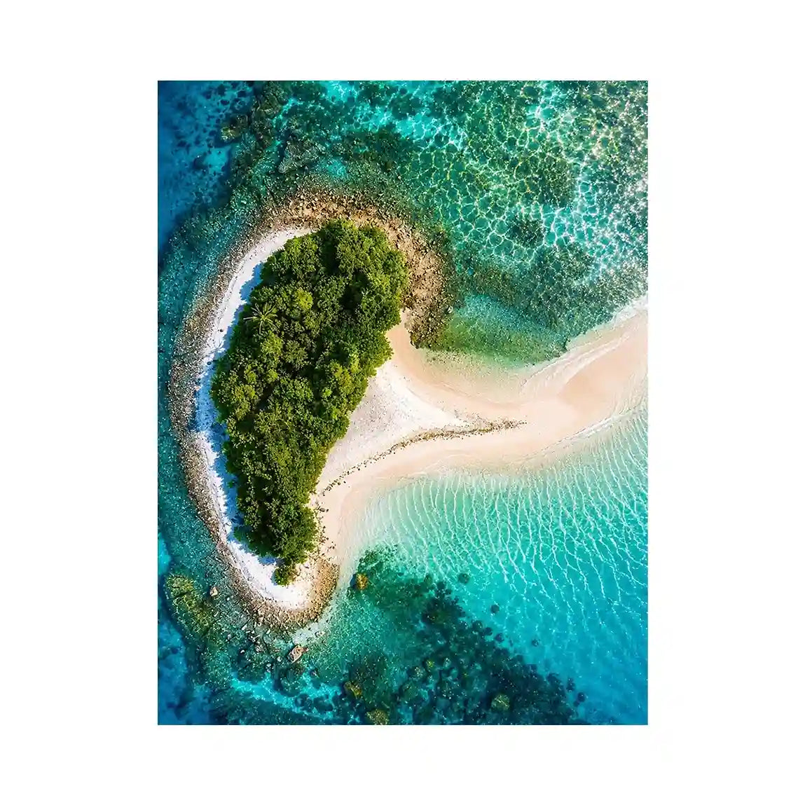 Isolated Canvas Print