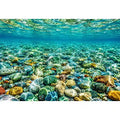 Clear Sea Canvas Print