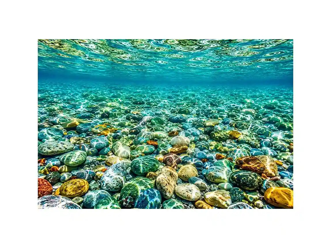Clear Sea Canvas Print