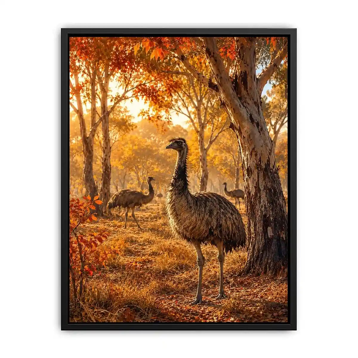 Ostrich Canvas Print