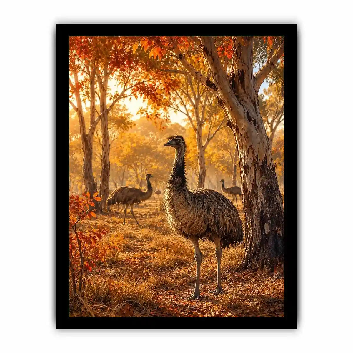 Ostrich Canvas Print