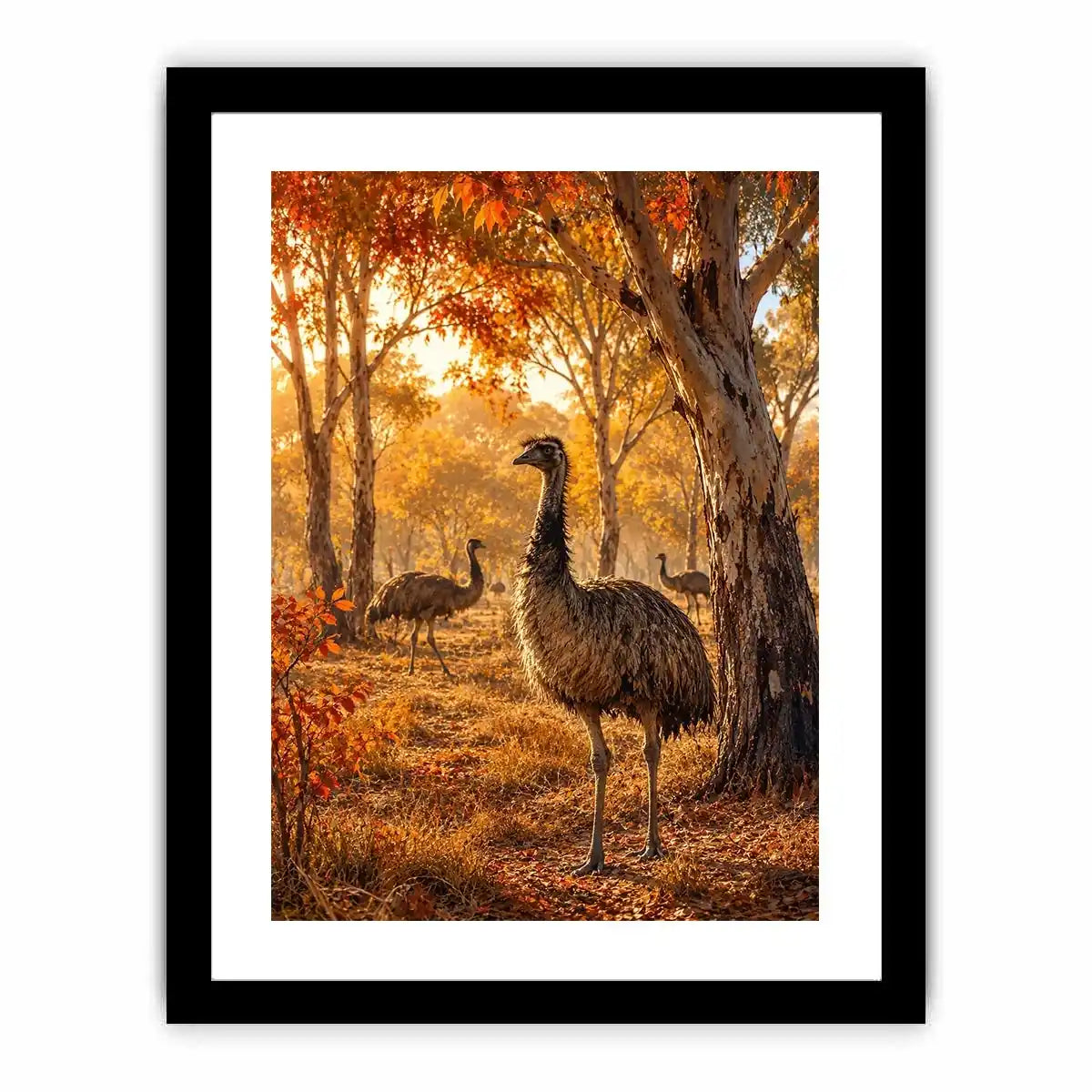 Ostrich Canvas Print