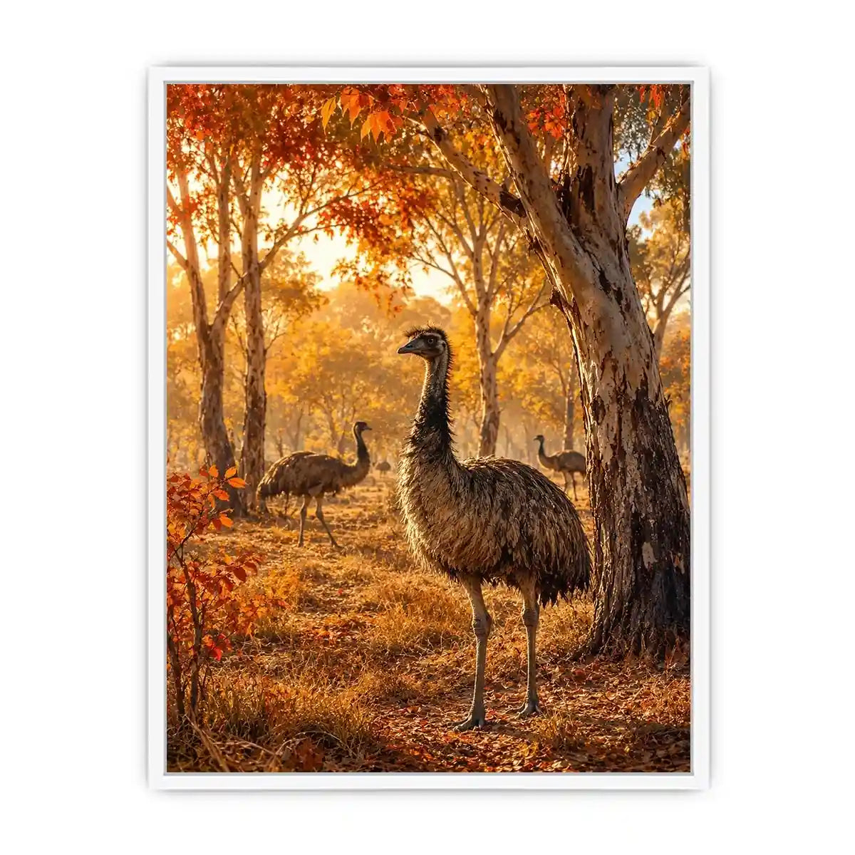 Ostrich Canvas Print