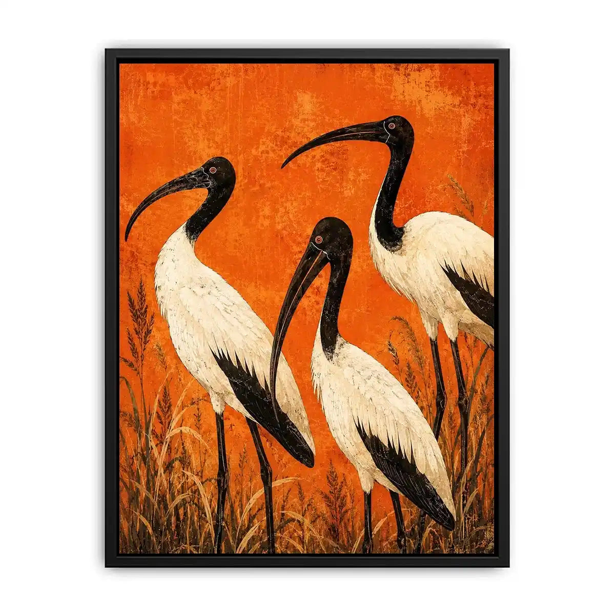 3 Ibis Canvas Print