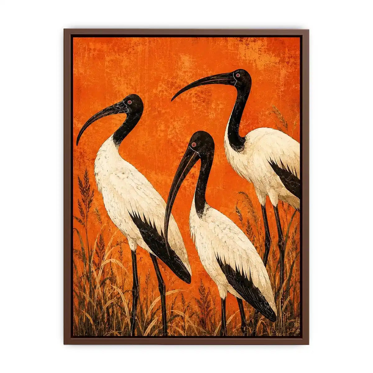 3 Ibis Canvas Print