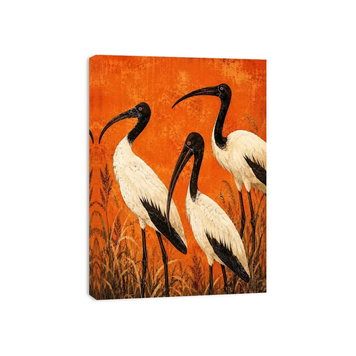 3 Ibis Canvas Print