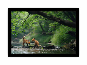 Two Baby Red Foxes framed Print