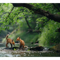 Two Baby Red Foxes Art Print