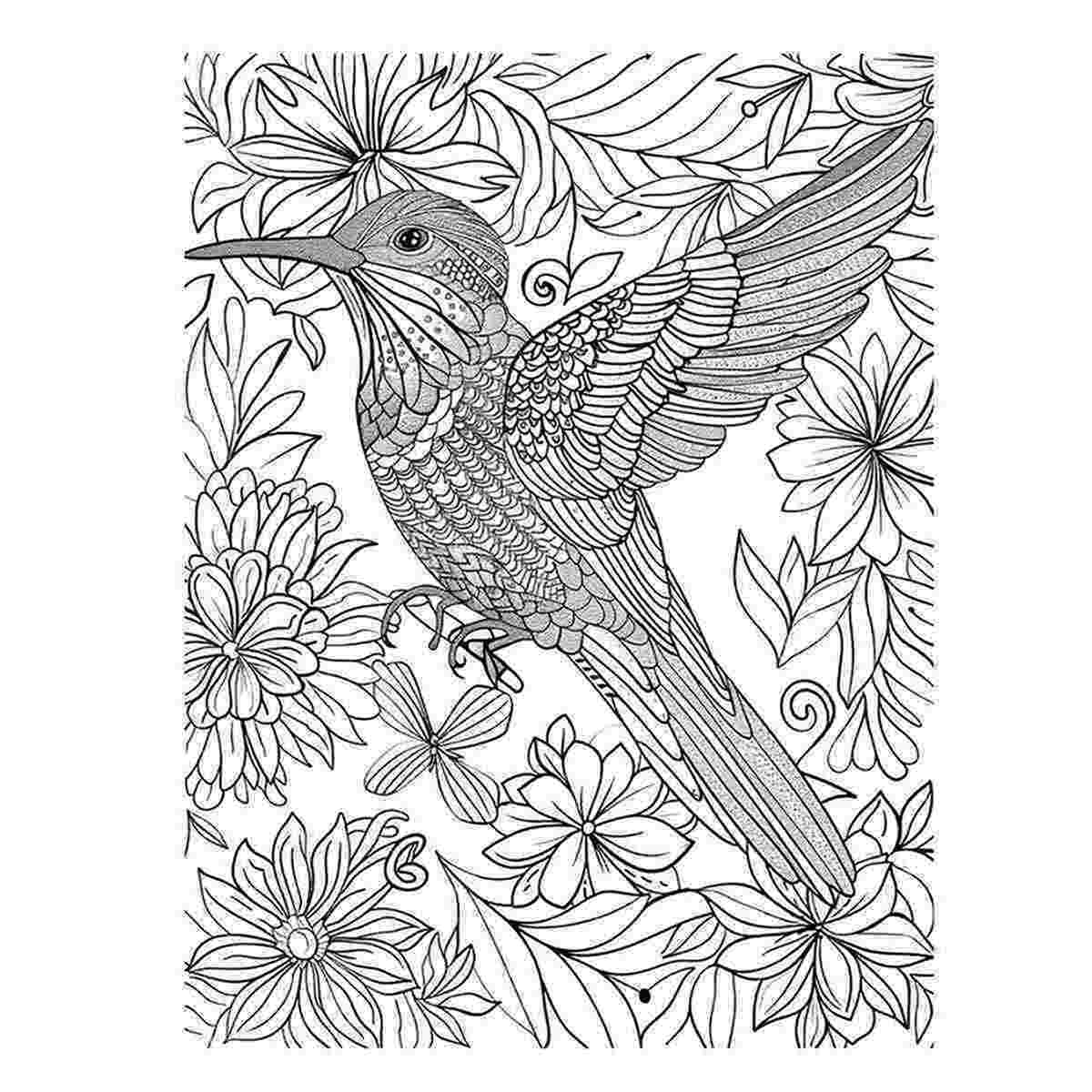 Color Me  Bird Art Print