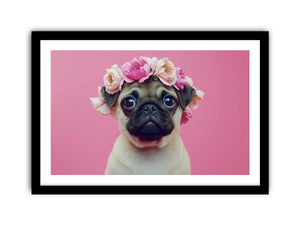 Framed Print