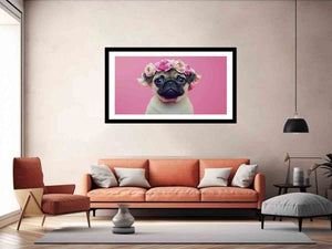 Pug Dog