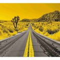Dream Road 