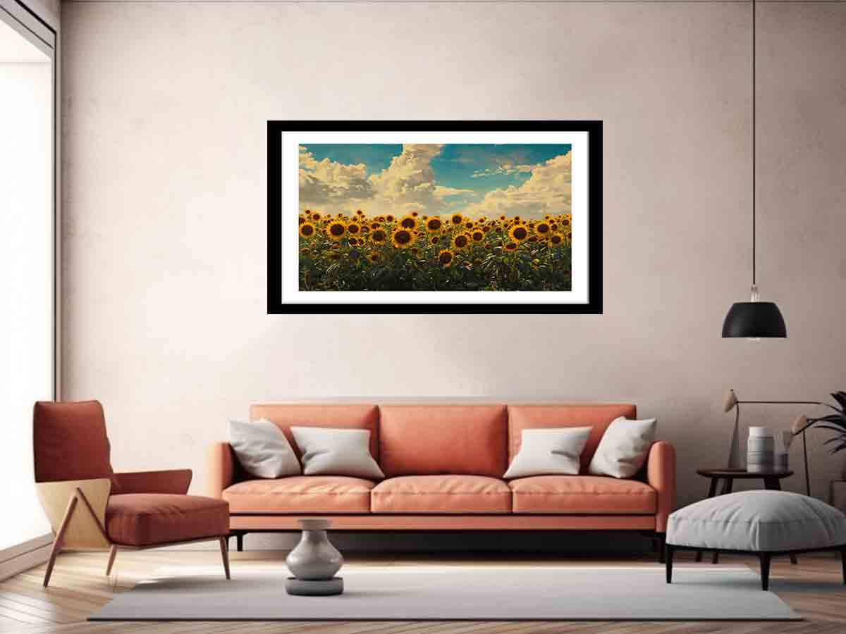 Summar Sunflower  