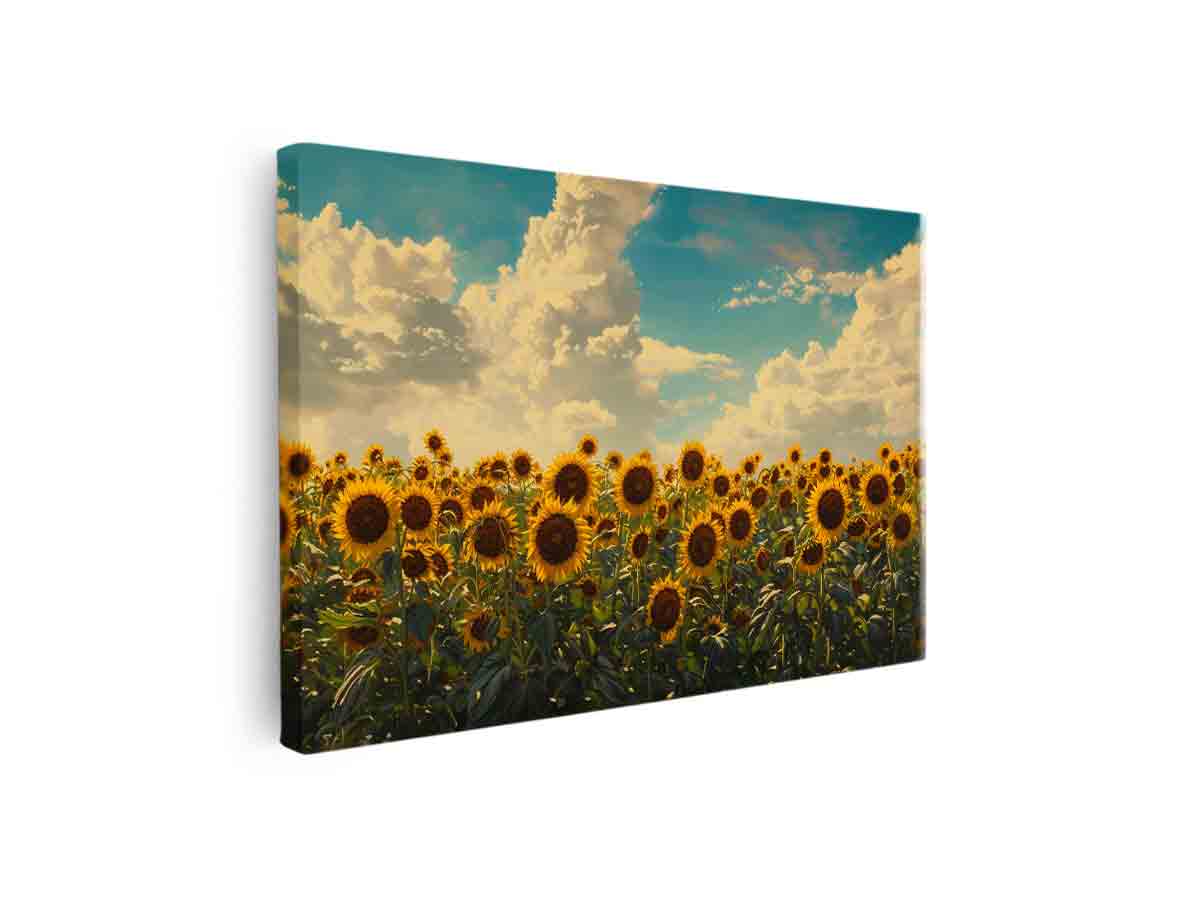 Streched canvas