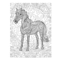 Colour me Horse